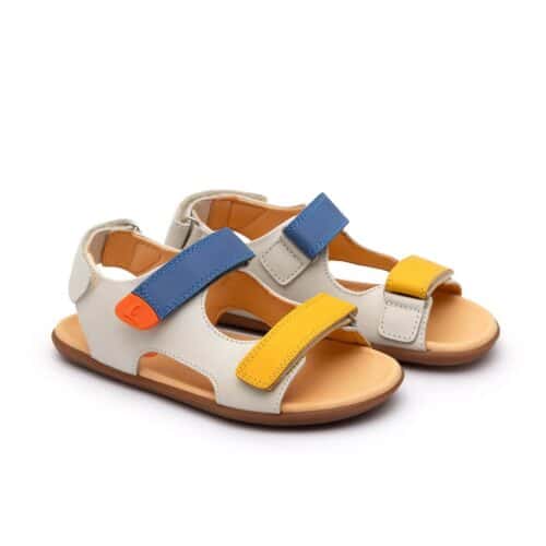 Tip Toey Joey - Explorer / Tapioca, Caja & Blue Tang