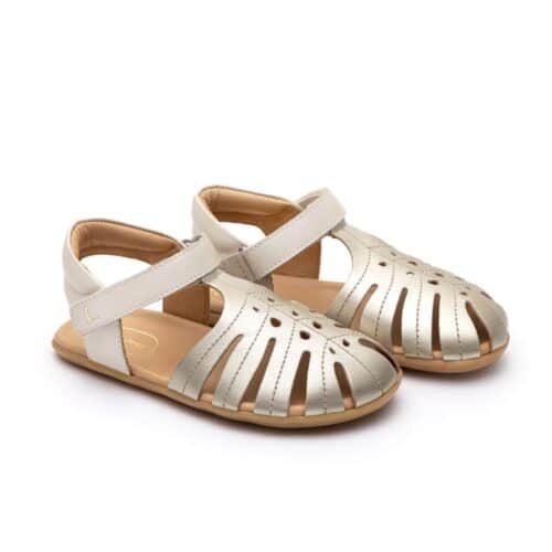 Tip Toey Joey - Tropical / Whitegold & Antique White